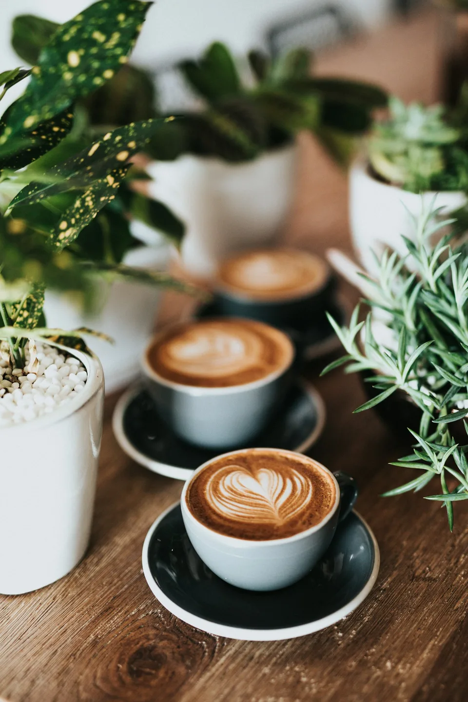 Barista pouring a slow drip coffee at the Brew & Bloom bar